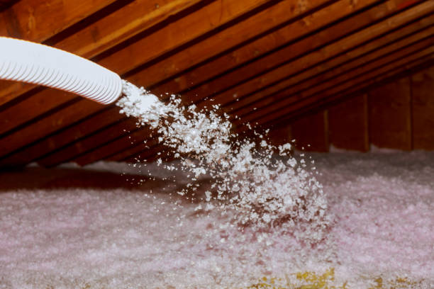 Best Fiberglass Insulation  in Saxon, SC