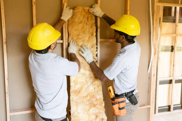 Attic Insulation Near Me in Saxon, SC