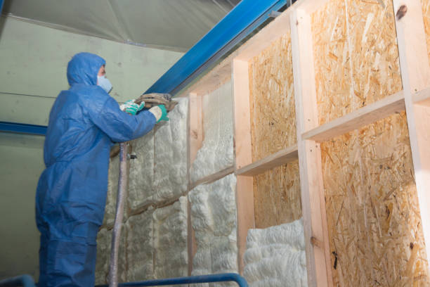 Professional Insulation Contractor in Saxon, SC