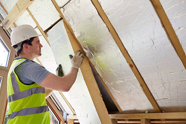 Best Energy-efficient Insulation  in Saxon, SC