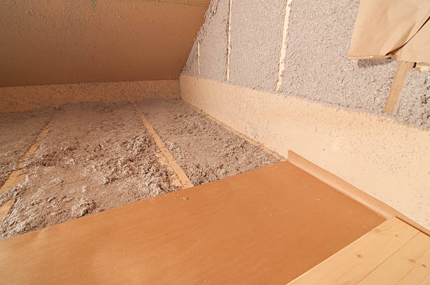 Best Insulation Repair Services  in Saxon, SC